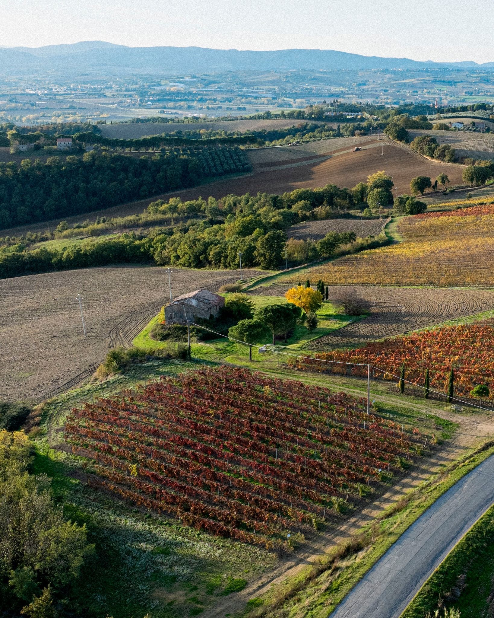 Aerial view of vineyard parcels and surrounding countryside at Agri Segretum.