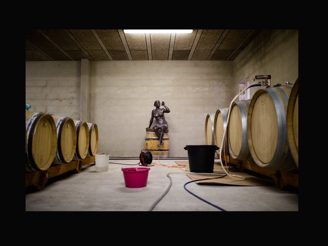Domaine Luneau-Papin - Cellar Domaine Luneau-Papin - Cellar