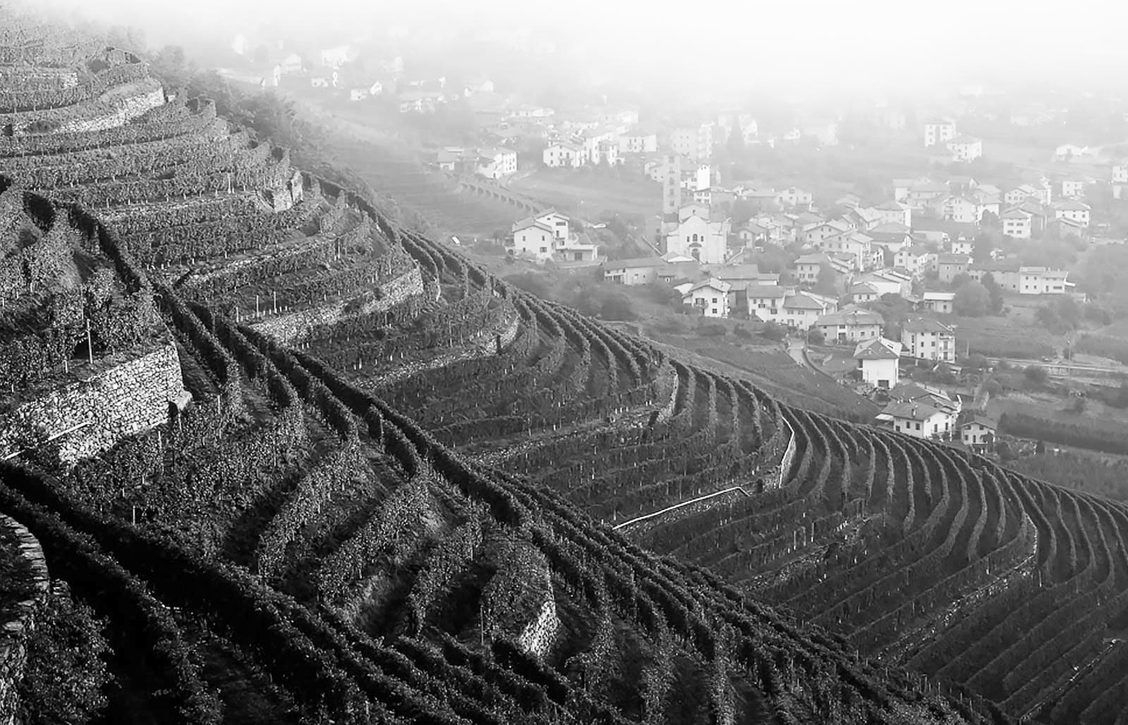 Barbacàn´s landscape Barbacàn´s landscape