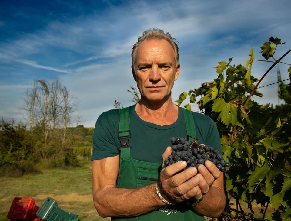 Sting holding grapes, wearing overalls, in a vineyard under a blue sky.