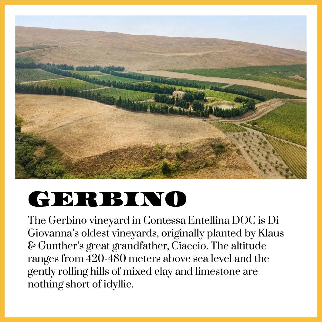 Di Giovanna Gerbino Di Giovanna Gerbino