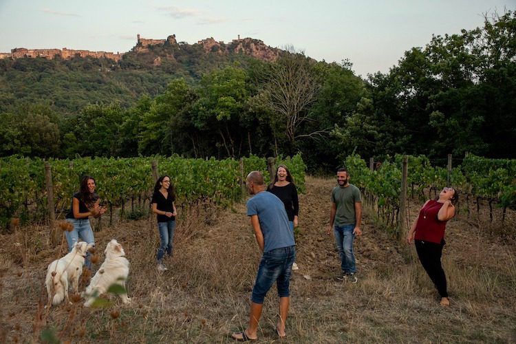 Ampeleia - The People of Ampeleia in the Vineyards Ampeleia - The People of Ampeleia in the Vineyards