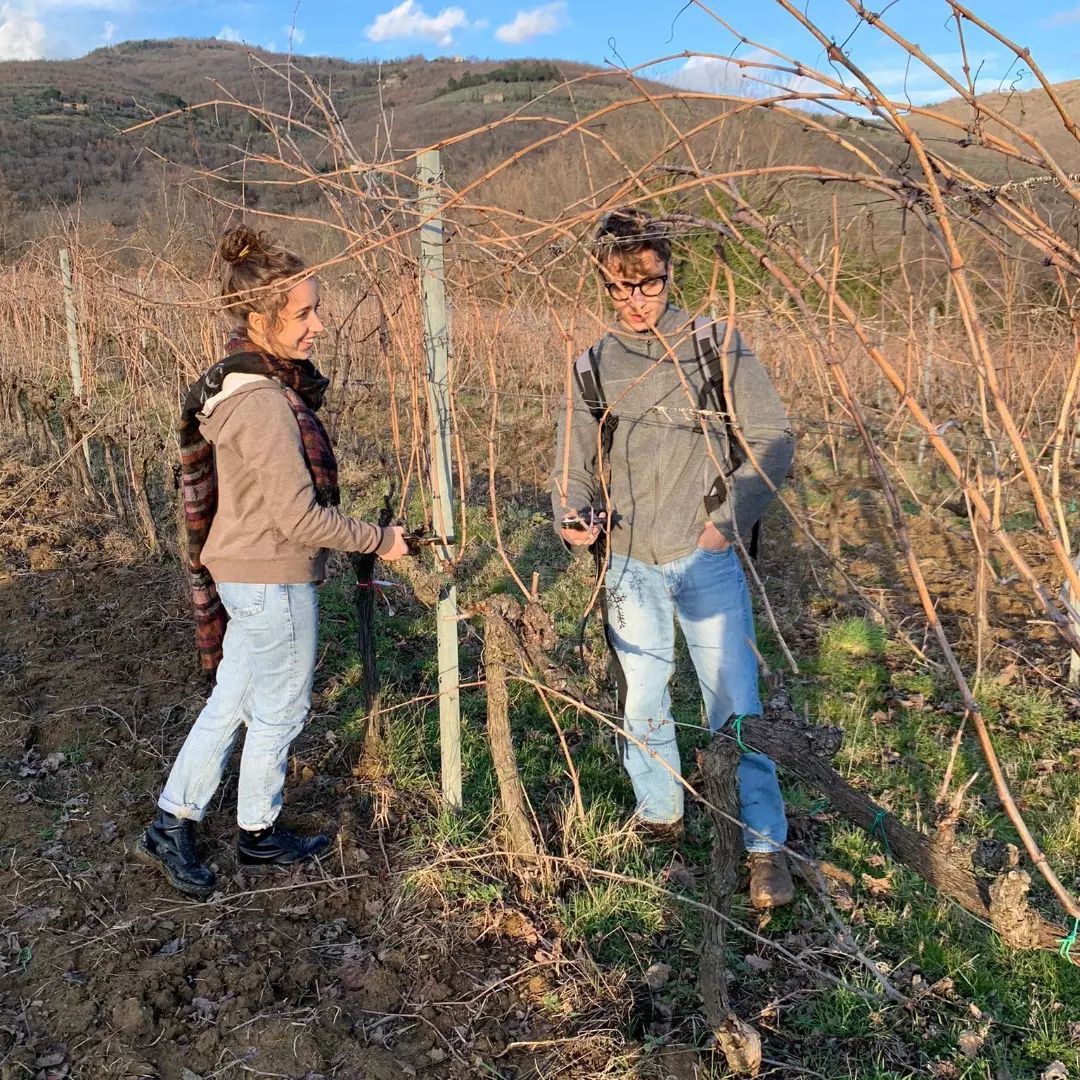 Meca and Rocco at the vineyards