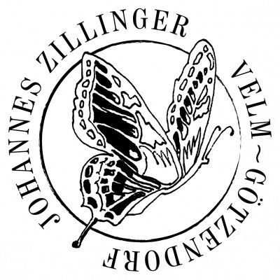 Zillinger Logo Zillinger Logo