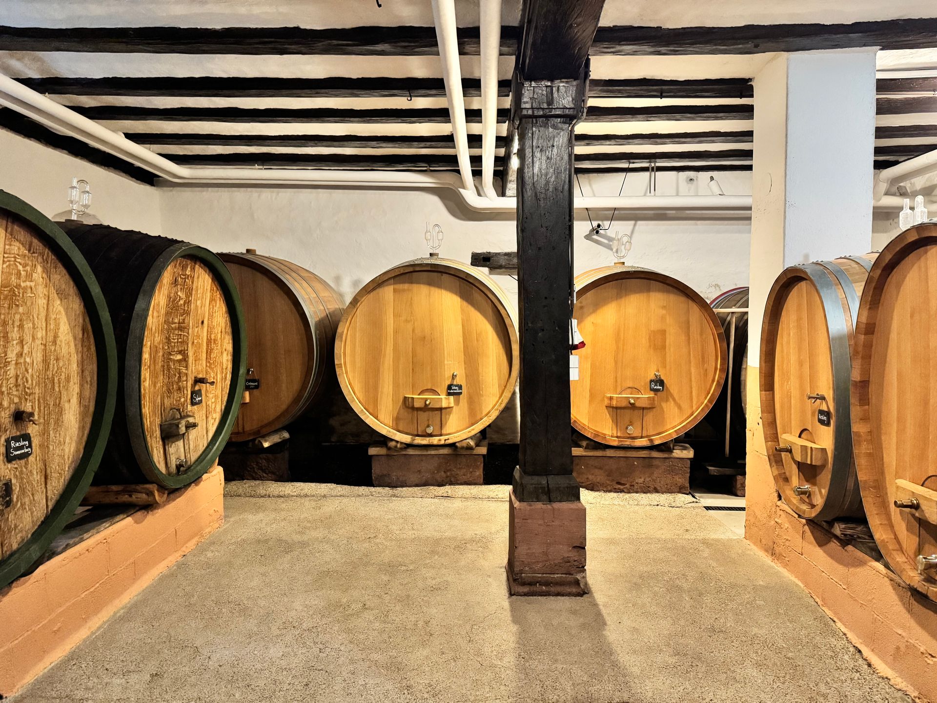 Wine barrels in a cellar. Wooden barrels against walls, with support beams and pipes overhead.