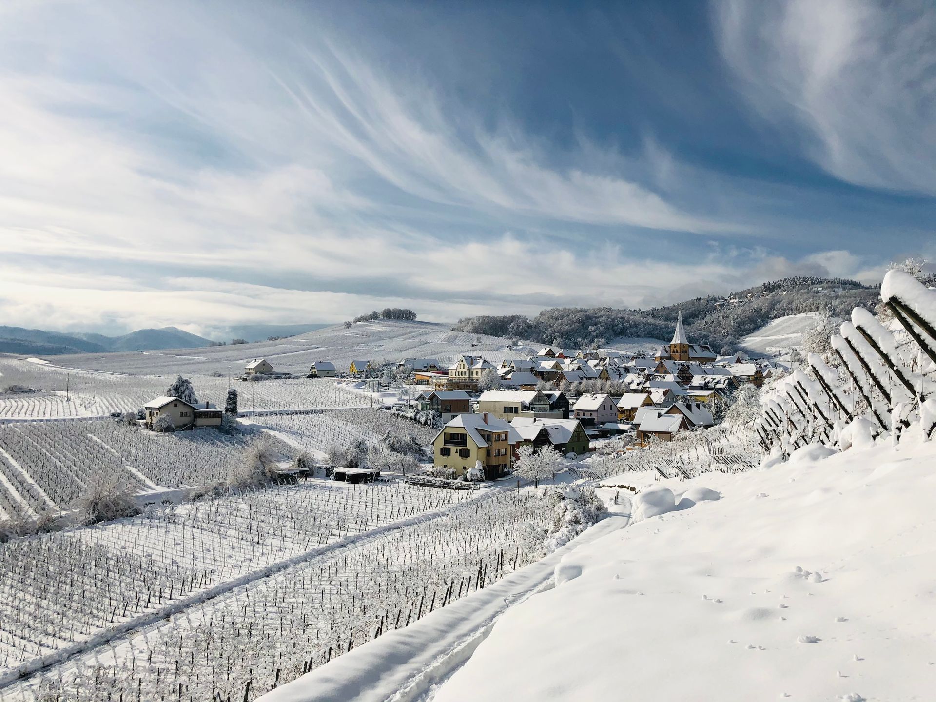Snowy village nestled in a valley, surrounded by snow-covered vineyards, at Domaine Albert Boxler.