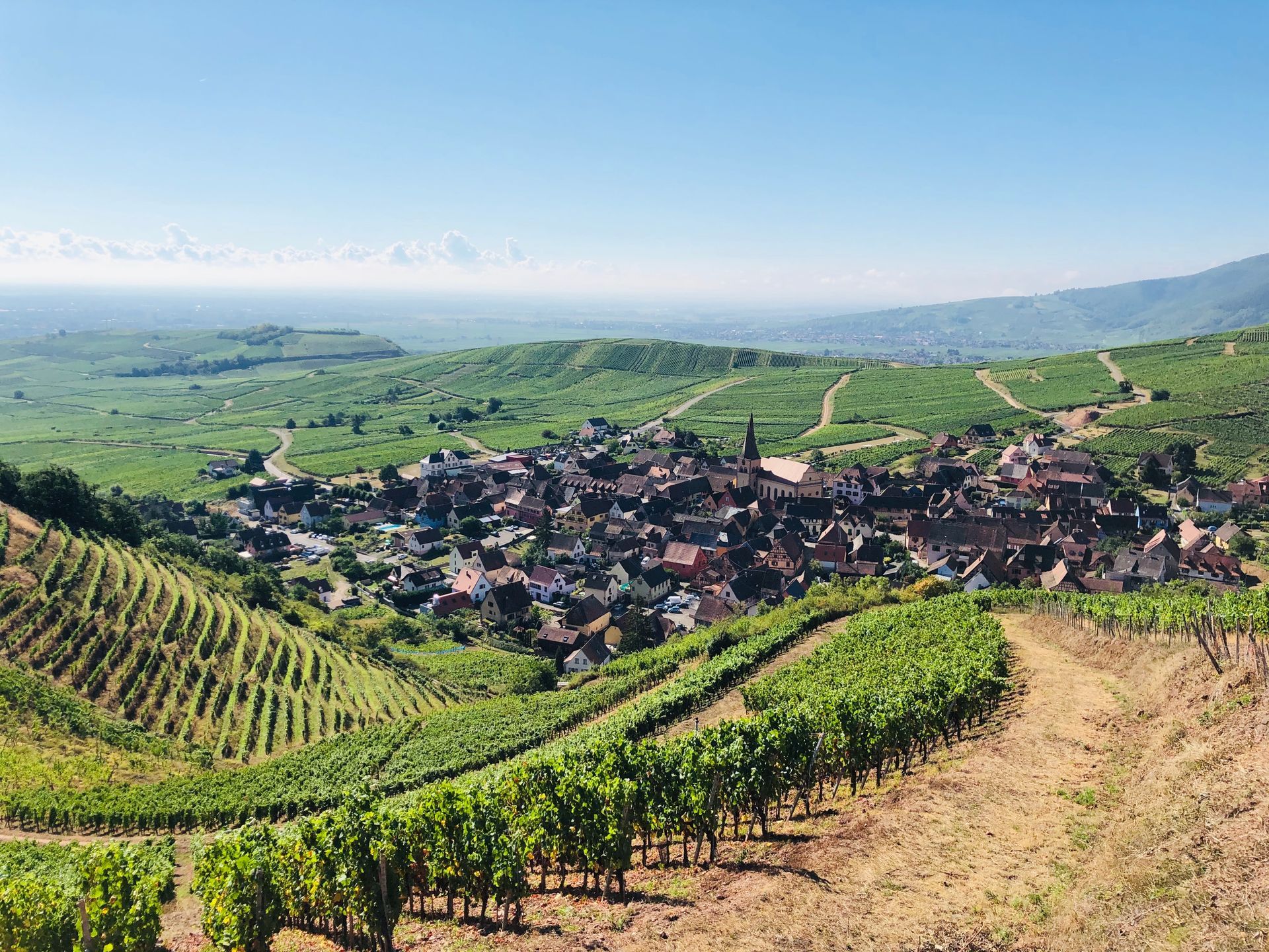 Vineyard overlooking a European village on a sunny day, at Domaine Albert Boxler.