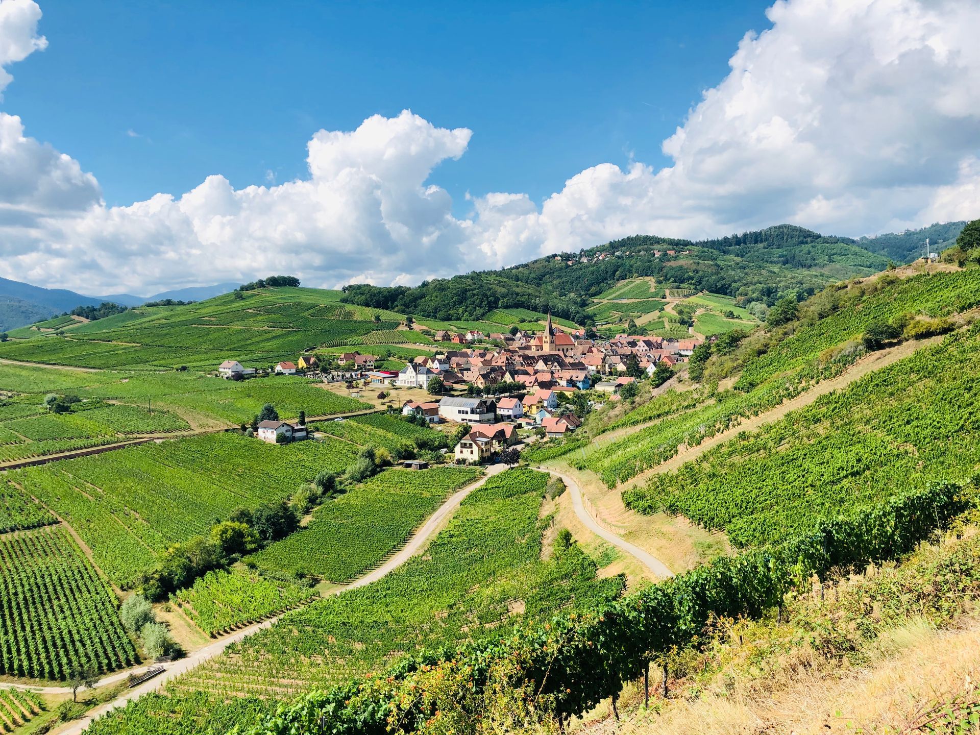 Vineyard-covered hills overlooking a village with red-tiled roofs, at Domaine Albert Boxler