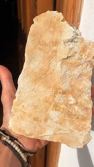 Hand holding a light-colored rock sample with tan and cream tones, from Alvar de Dios vineyards.