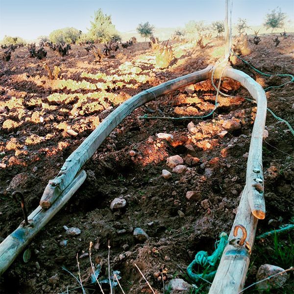 Wooden irrigation pipes in a dirt field, at Álvar de Dios. Ropes and metal hardware secure the pipes.