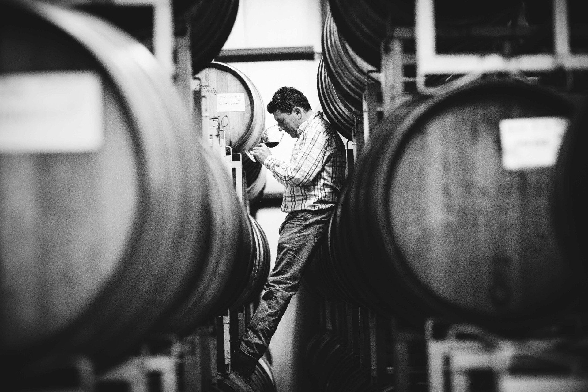 Man inspecting a wine barrel in a cellar.