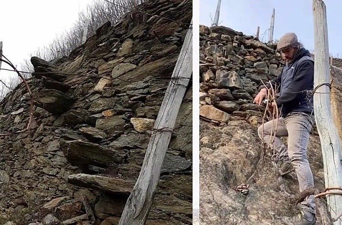 Man climbing a stone wall, using rope, wooden posts and steps for access, at Barbacàn vineyard