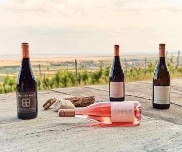Four wine bottles, one of them lying down, on a stone surface, with a vineyard background at Bodegas Enguera.