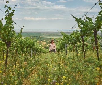 Birgit Braunstein standing in a vineyard, overlooking a vast landscape under a cloudy sky.
