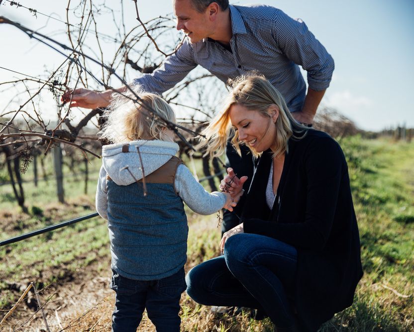 Bondar family in the vineyard examining grapevines.