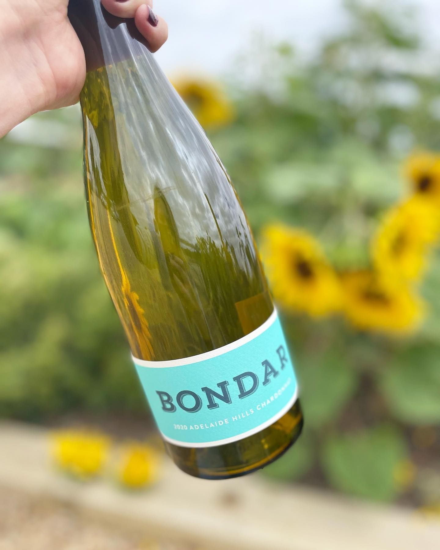Hand holding a bottle of Bondar wine against a blurred background of sunflowers.