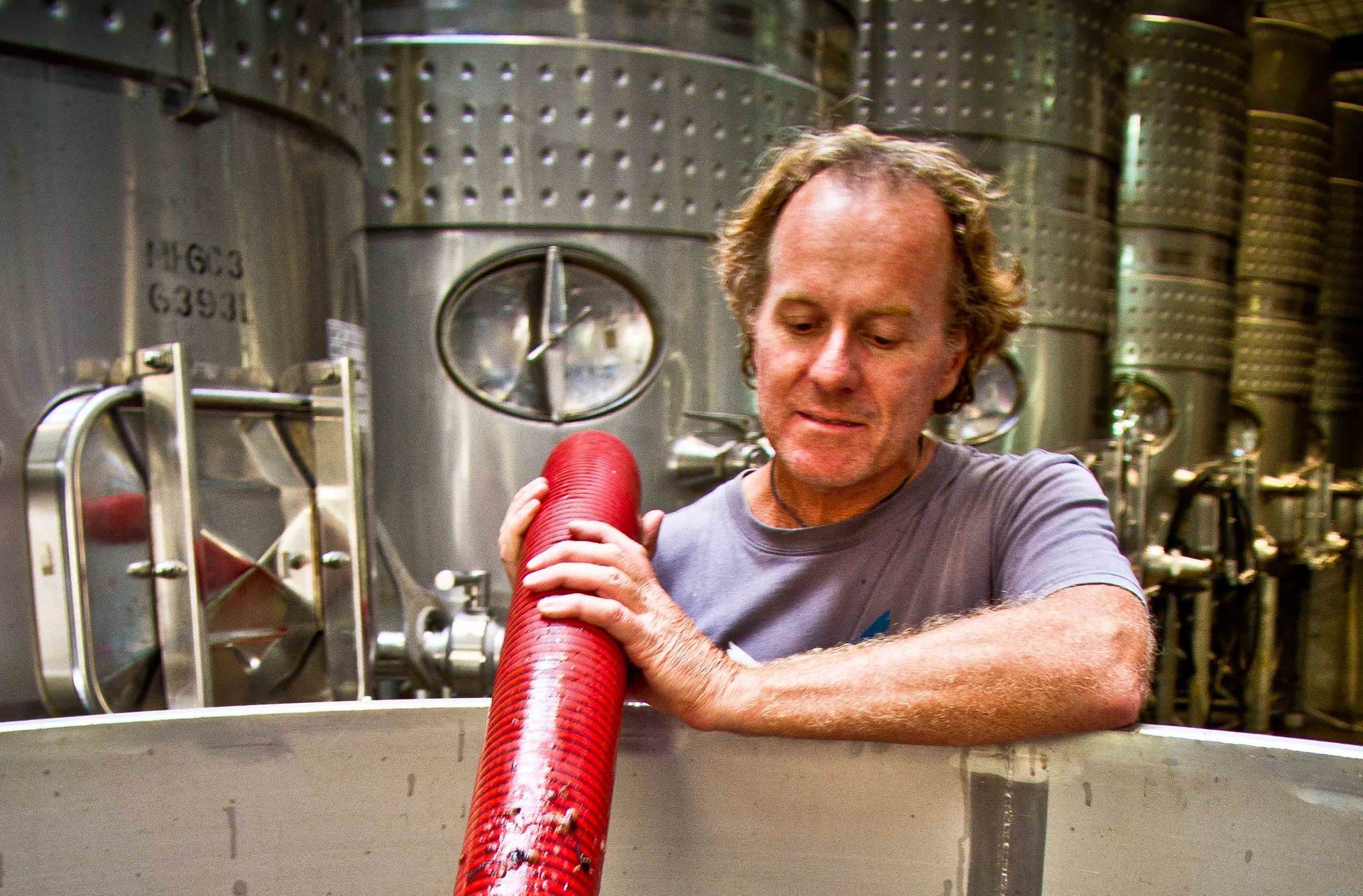 Man examining a red hose with grapes in Amato Vino winery, with stainless stanks on the background.