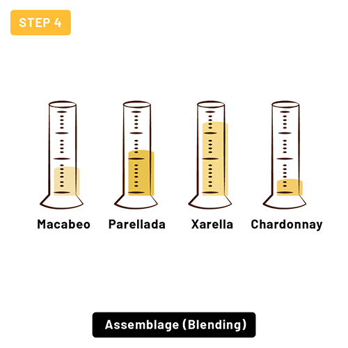 The blending process in Cava production