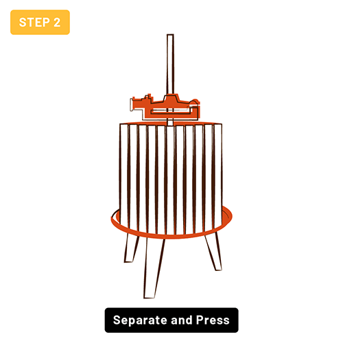 grape press machine