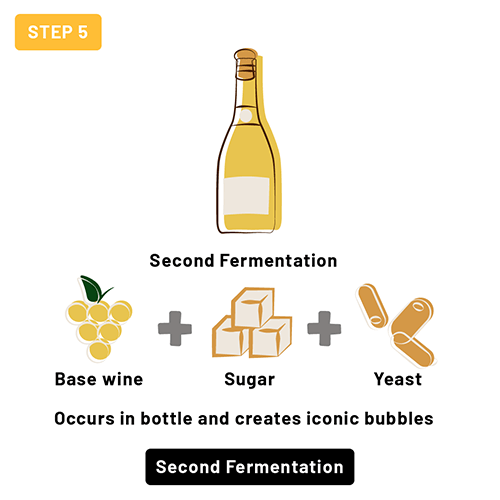 Visual representation of the secondary fermentation in bottle
