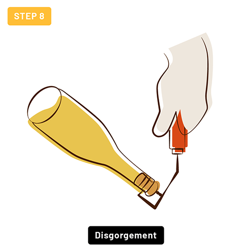 Disgorging wine bottles to allow for the sediment to be expelled