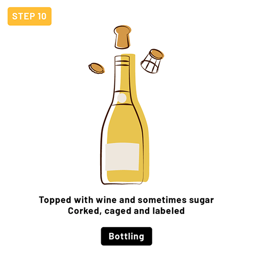 Enclosing a sparkling bottle of wine