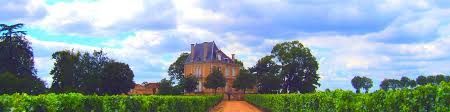 A view of Château Marzy surrounded by vineyards and trees.
