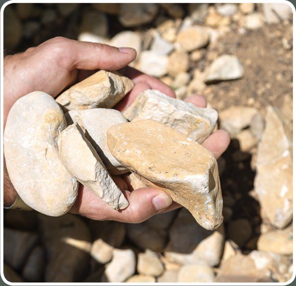 Hand holding light-colored limestone rocks at Cave de Cairanne