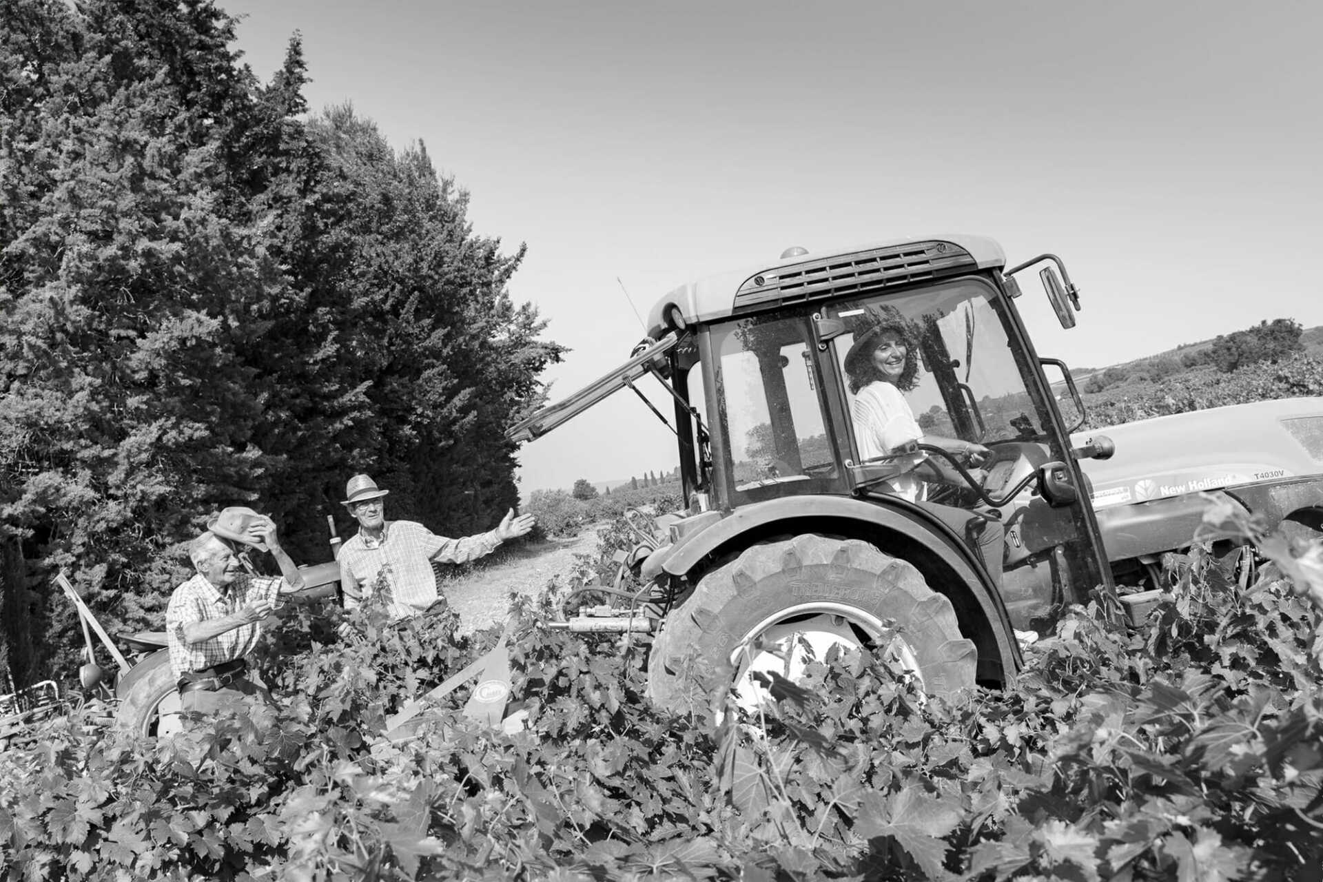 Cave De Cairanne - Crew Working in Vineyards Cave De Cairanne - Crew Working in Vineyards