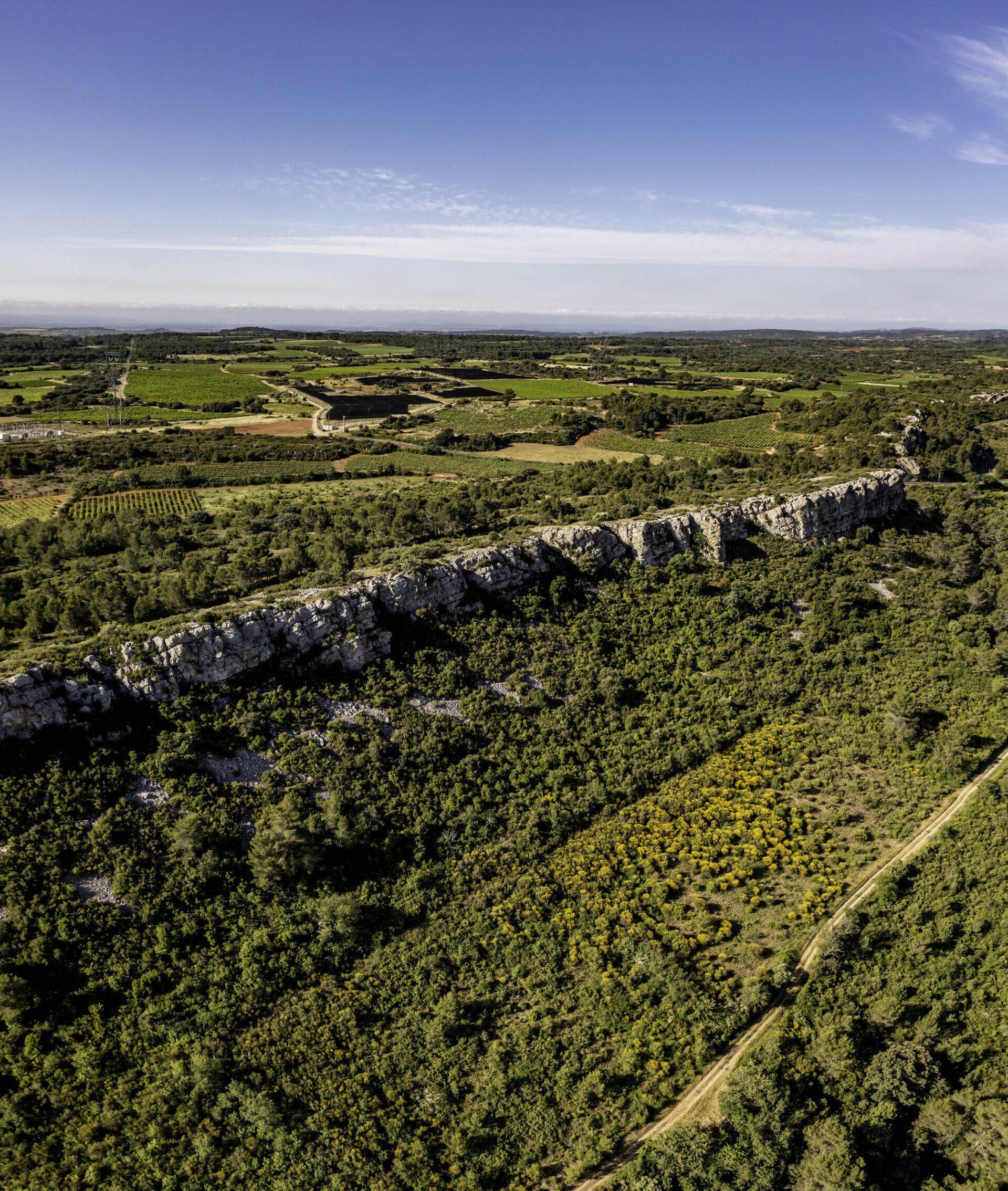 A long, rocky ridge atop of green foliage, at Gilbert & Gaillard