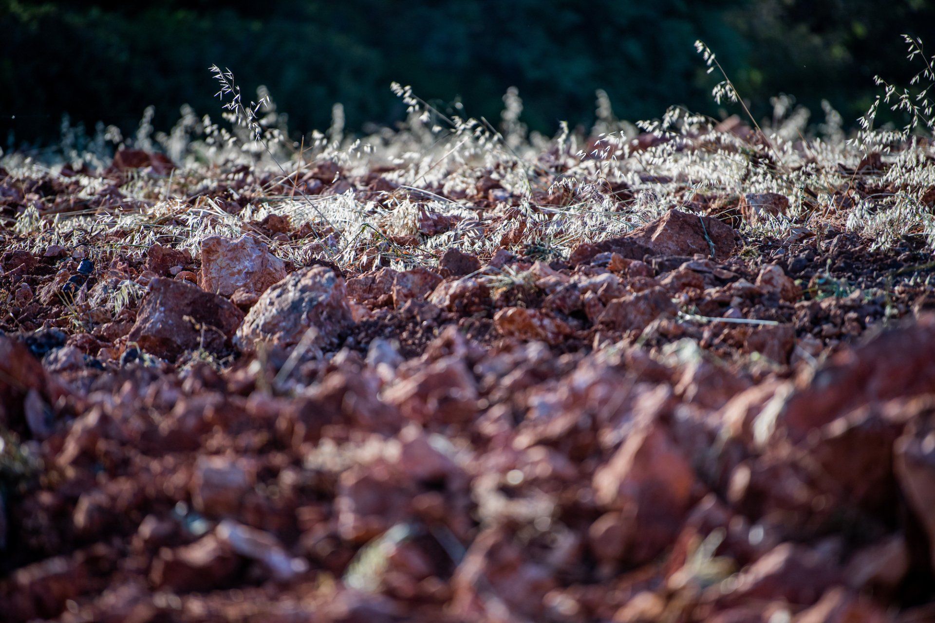 Red rocky ground with sparse, dried grass, at Gilbert & Gaillard
