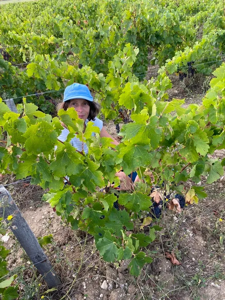 Champ des Treilles worker in the vineyard, surrounded by green grape leaves.