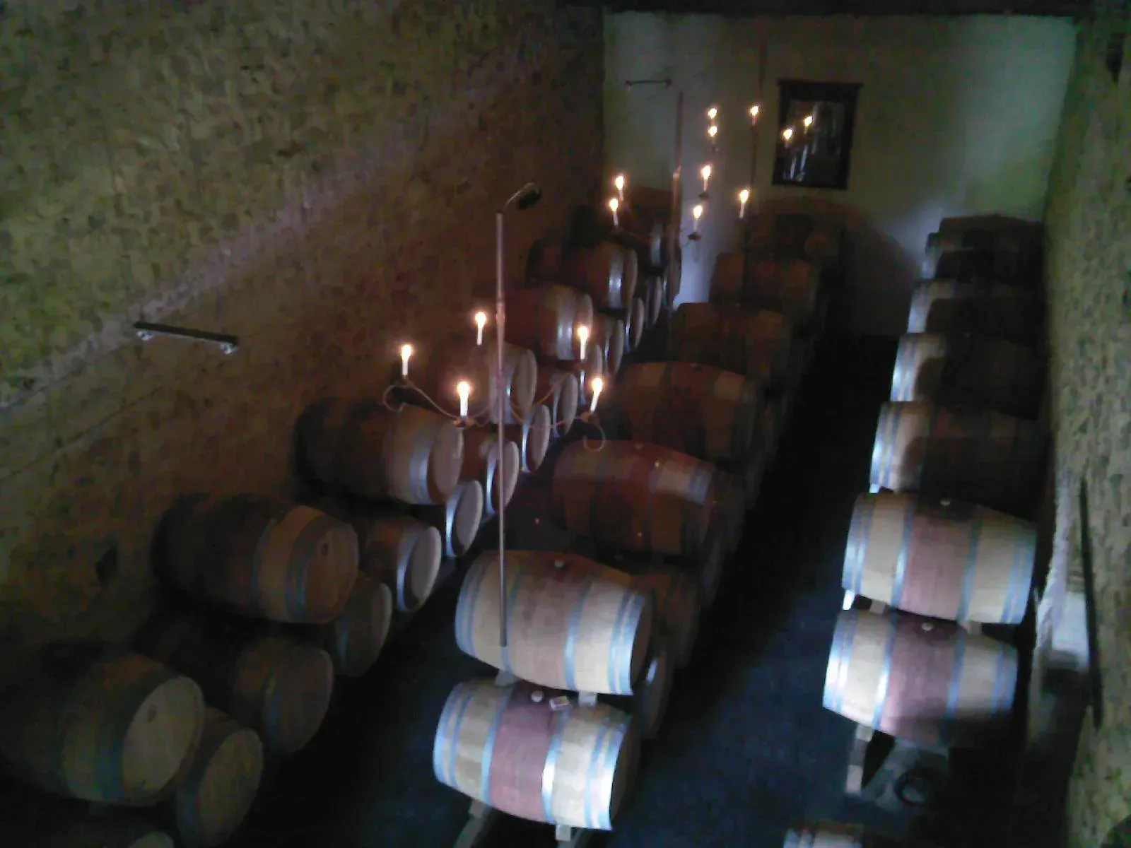 Rows of wine barrels in Champ des Treilles cellar, lit by candles atop the barrels.