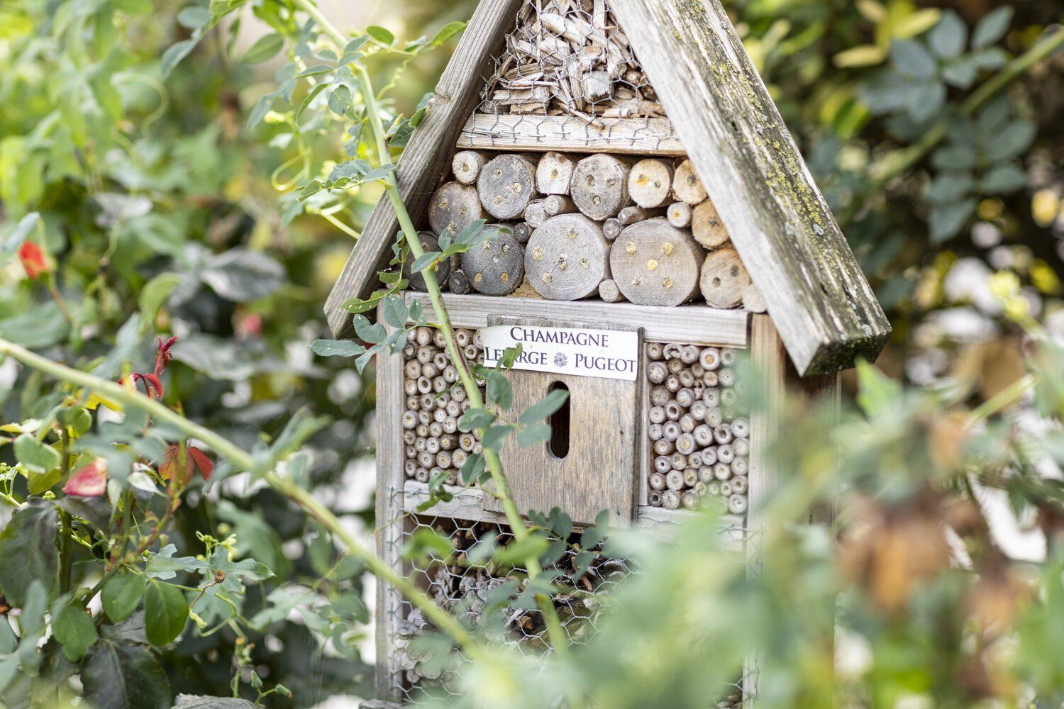 Wooden insect hotel with log and stick compartments, nestled among garden foliage