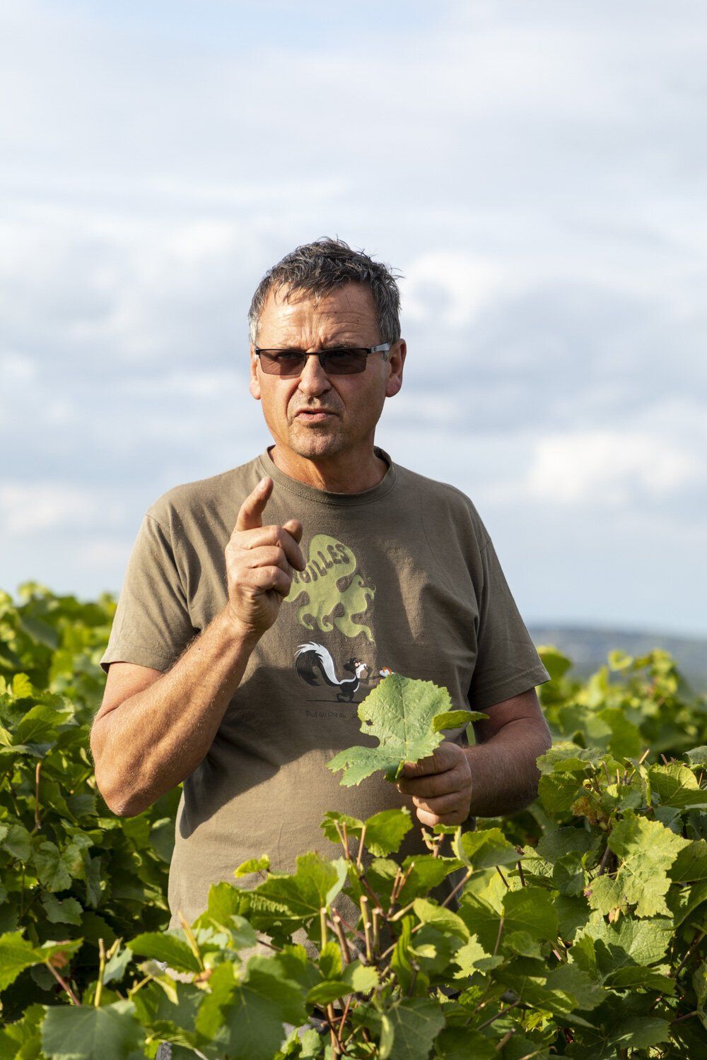 Winemaker of Champagne Lelarge-Pugeot, holding a leaf in the vineyard.