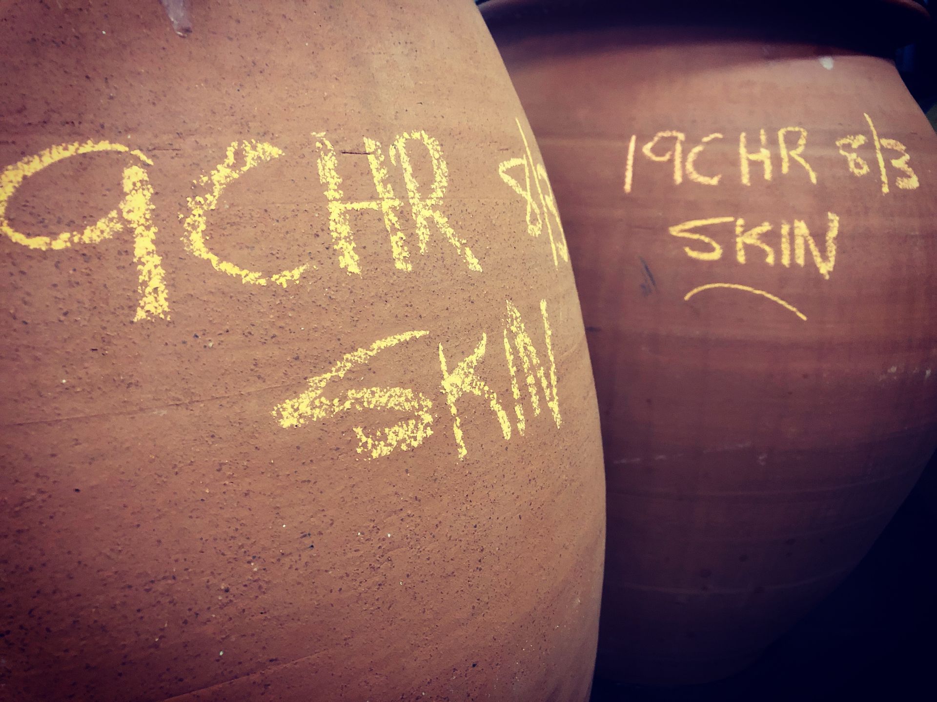 Clay amphorae with chalk markings indicating Chardonnay skin fermentation in the winery.