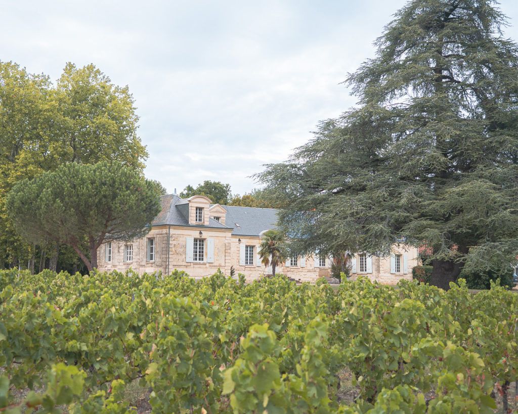 Château de Thésée - Vineyard with a light-colored stone building, trees, and cloudy sky.