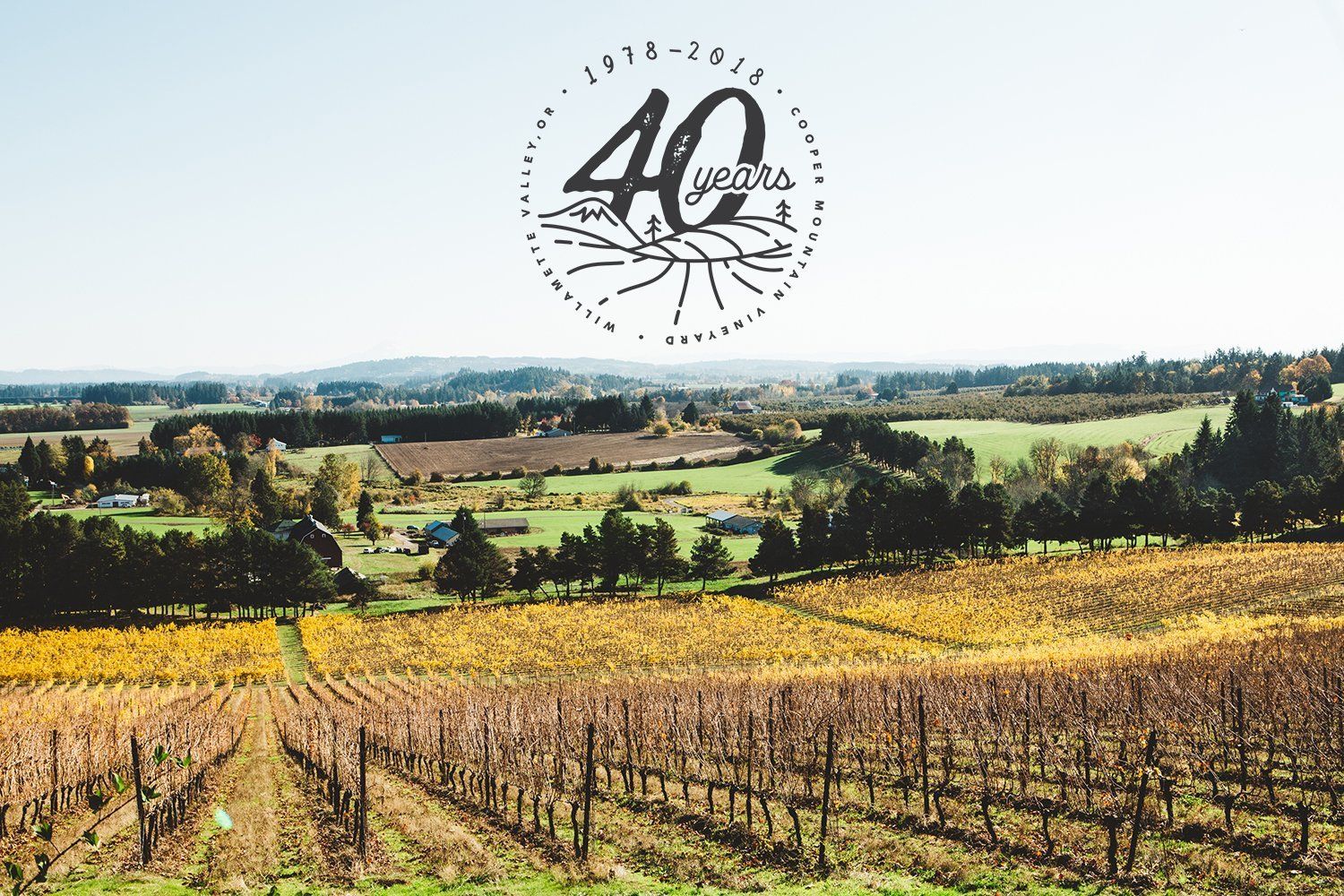Cooper Mountain vineyard with golden autumn leaves;.
