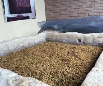 Large stone trough filled with brown plant matter, covered by dark netting, against a brick wall.