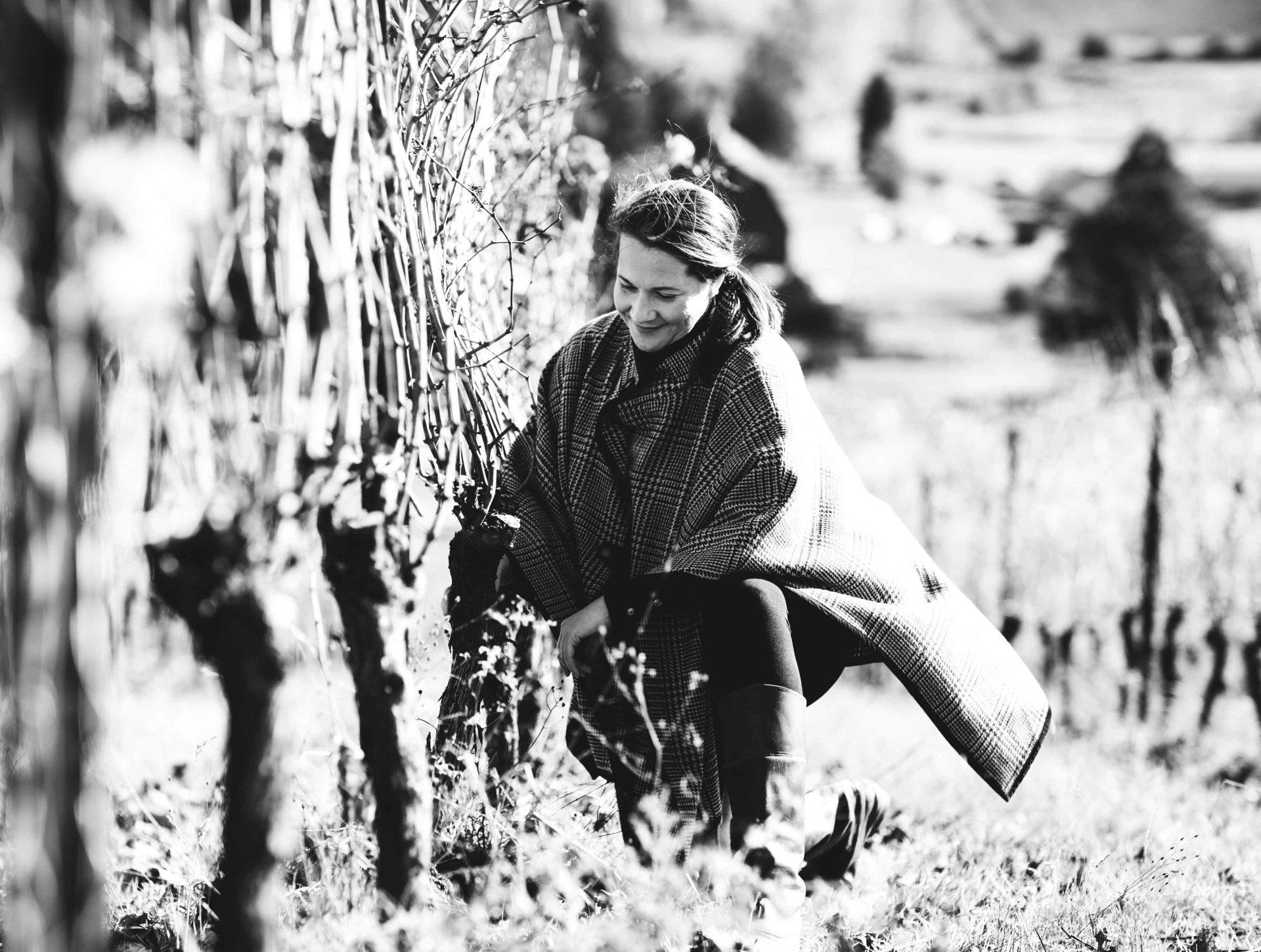 Black and white picture of woman in Cooper Mountain vineyard, tending vines.