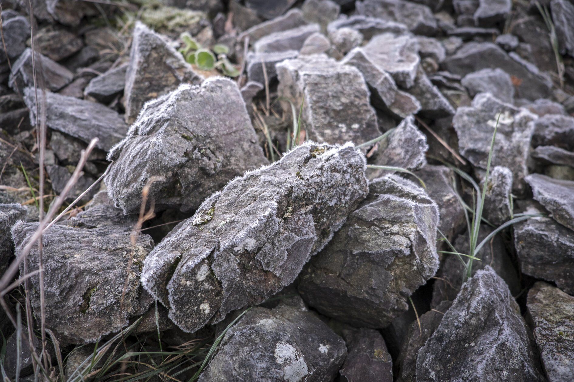 Frost-covered gray rocks in a pile, with sparse green grass visible, at Domaine Belargus.