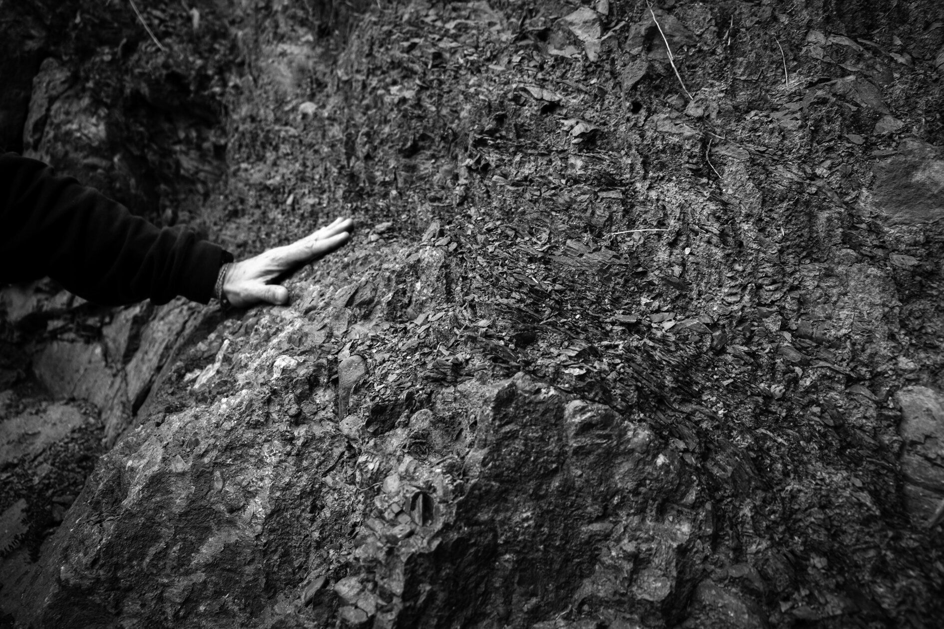 Hand touching rough, dark rock face, with patches of vegetation, at Domaine Belargus