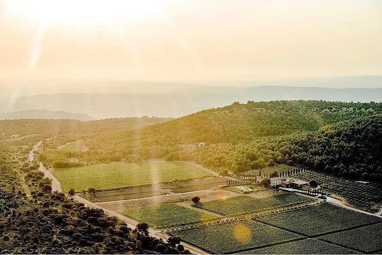 Domaine des Masques Sunset Domaine des Masques Sunset