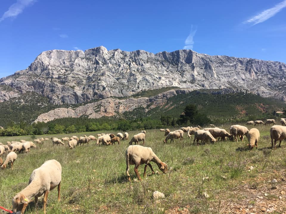 Domaine des Masques Landscape Domaine des Masques Landscape