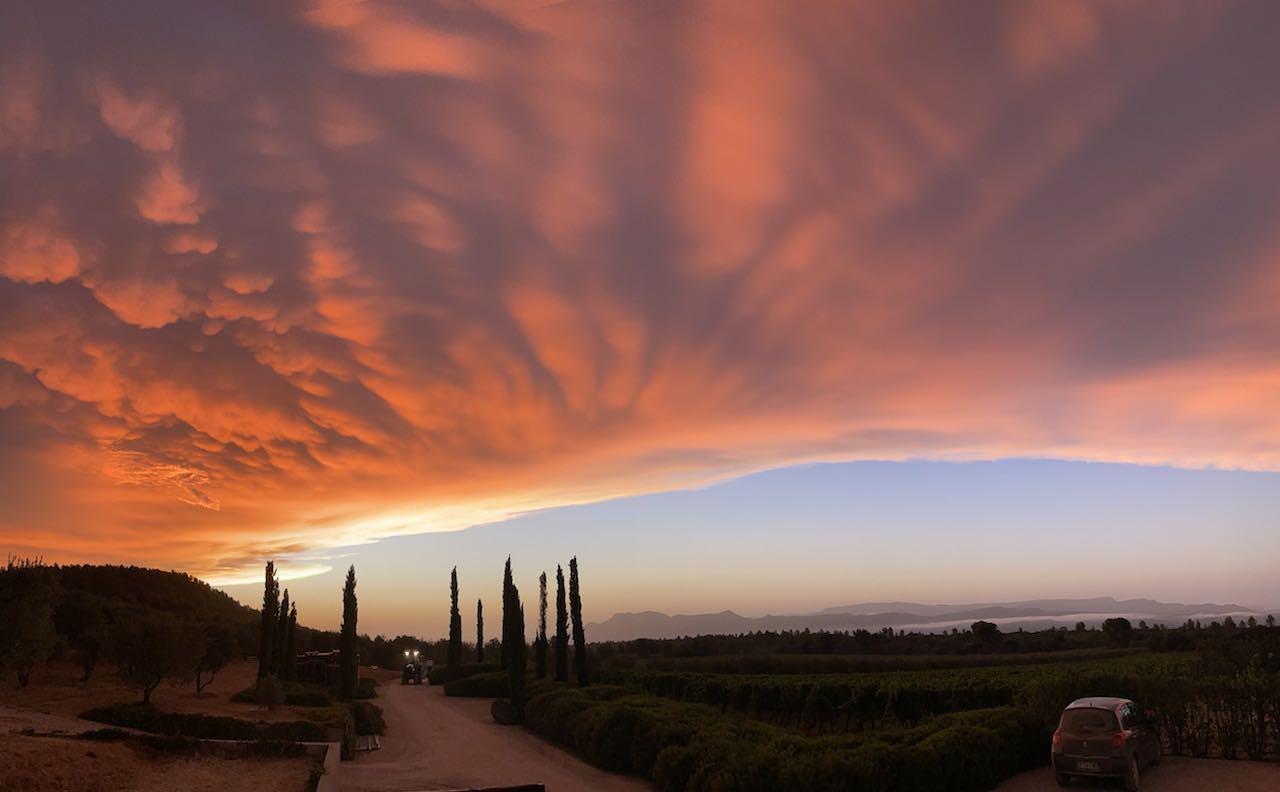 Sunset at Domaine des Masques vineyard, with orange, textured clouds over a road lined with trees.