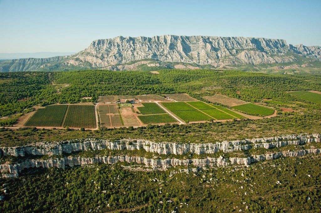 Vineyards and trees in front of a rocky mountain range under a clear sky.