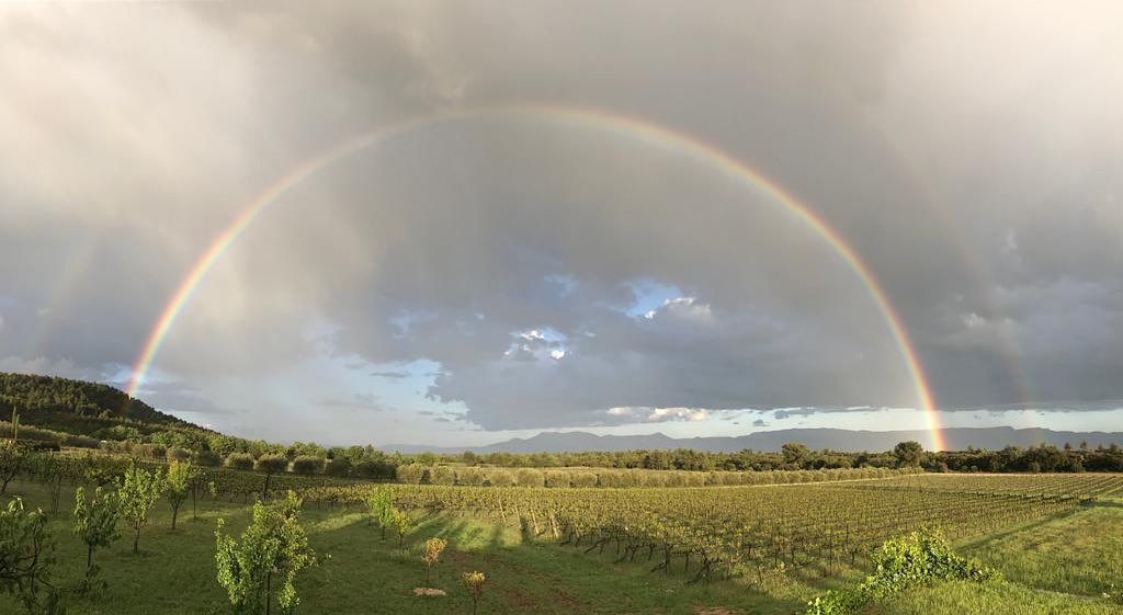 Rainbow over vineyard and green field at Domaine des Masques under cloudy sky