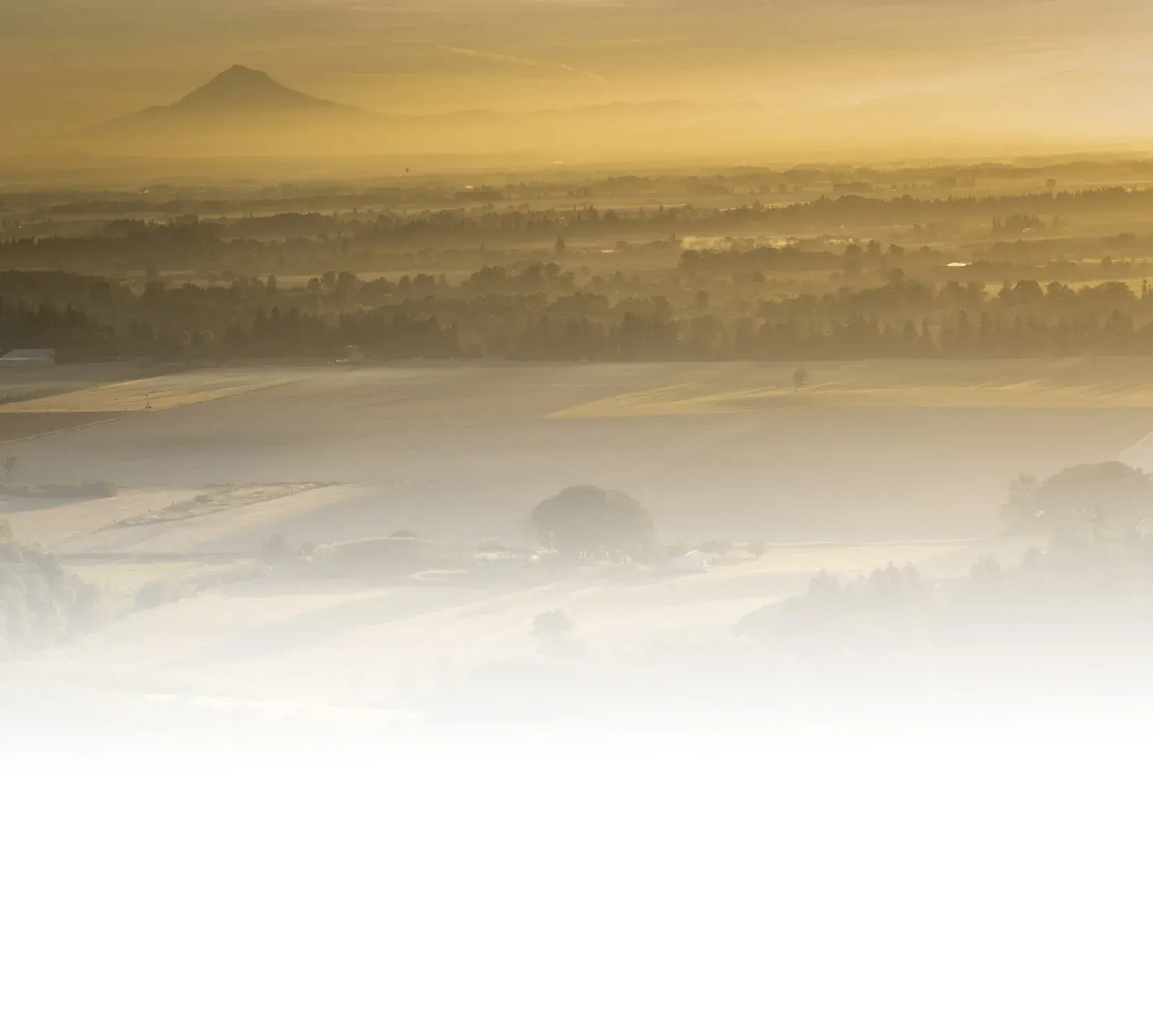 Hazy landscape of fields and trees with a distant mountain