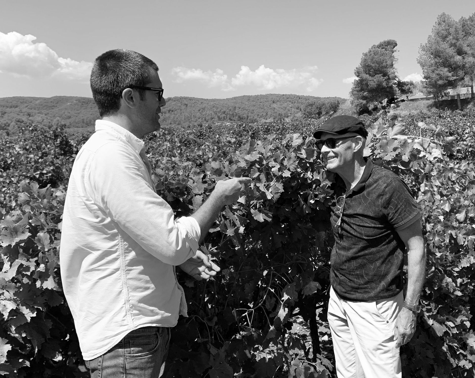 Two men in Bodegas Enguera vineyards, conversing.