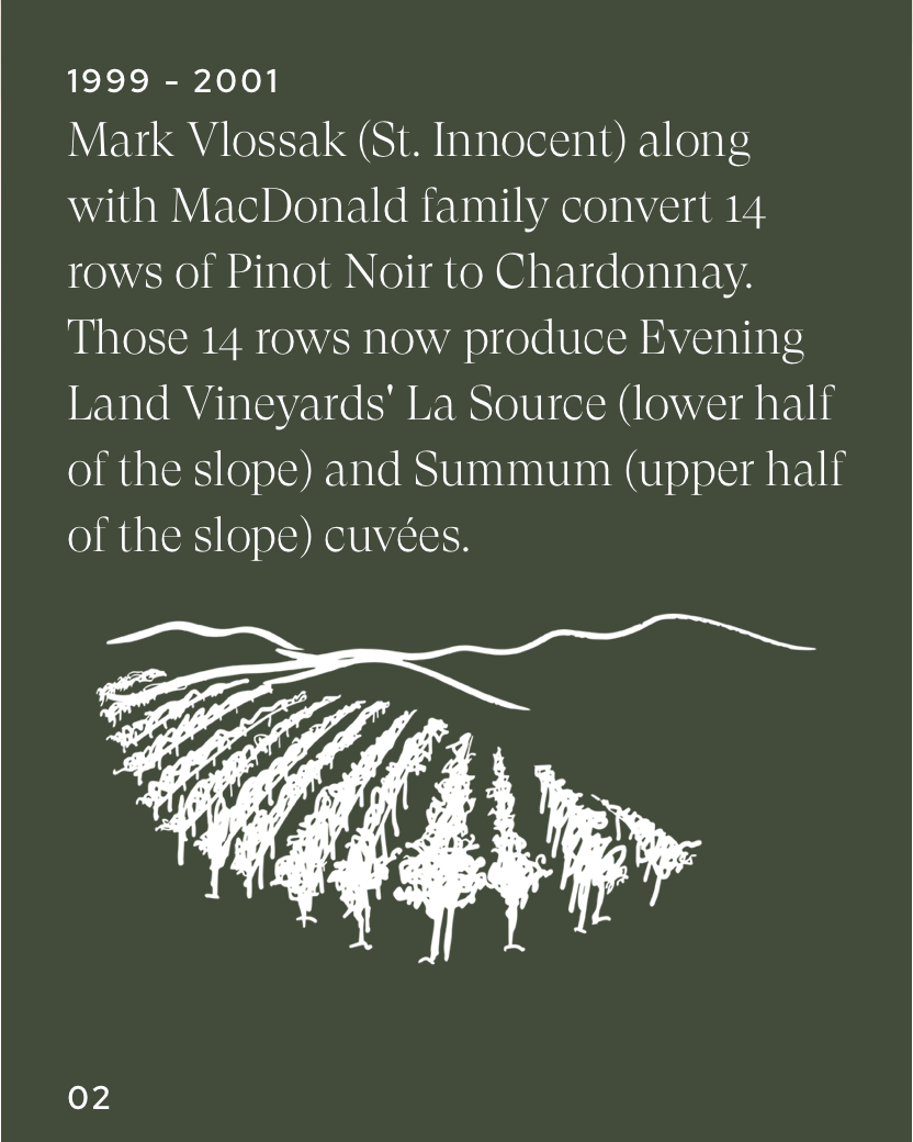 Text detailing the conversion of Pinot Noir to Chardonnay of Evening Land.
